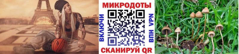 Купить  Соликамск  Галлюциногенные грибы прущие грибы 